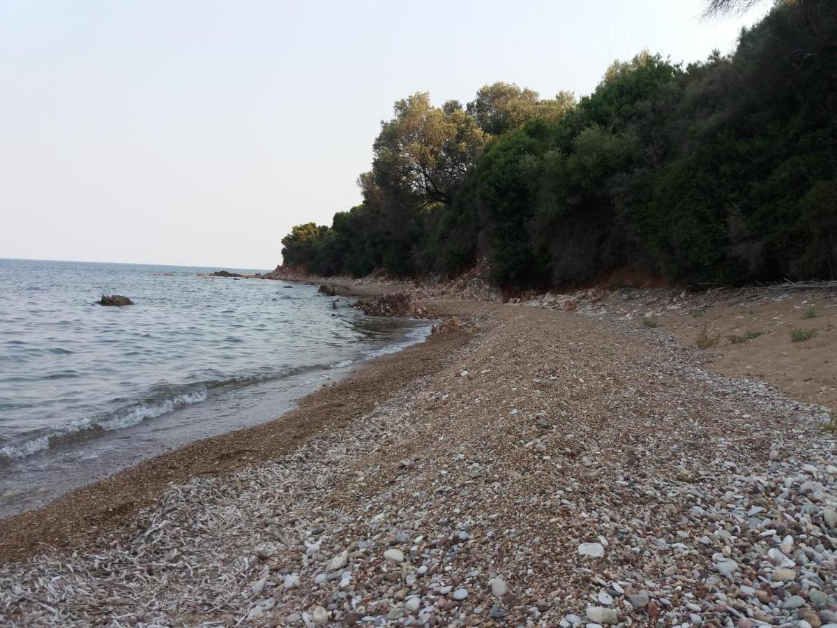 Nereids Apartments-pronoe *